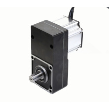 120W 12V 24V 48V 110V 220V Brushless DC Gear Motor for Advertising Gate